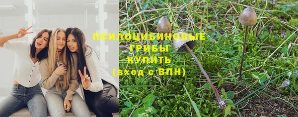PSILOCYBIN Липки