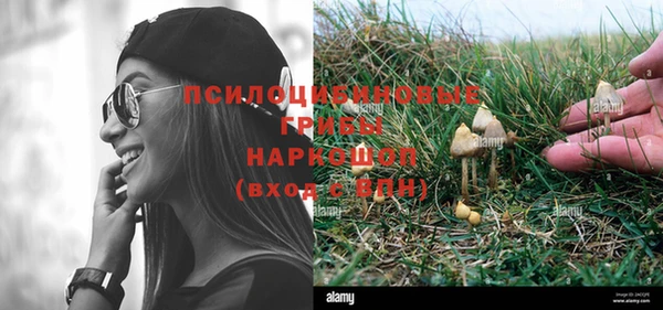 эйфоретик Шарыпово