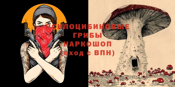 экстази Алексин
